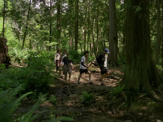 A group of young friends hike in a line down a dirt path through a sunlit, green forest