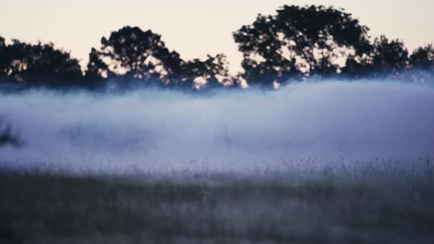 A mysterious woman with long hair sitting in a grassy field at dusk is slowly enveloped and hidden by a thick, rolling fog