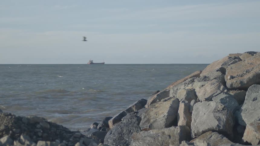 A cargo ship sails on the distant horizon of a choppy sea, viewed from behind a rocky breakwater as a bird flies by in slow motion