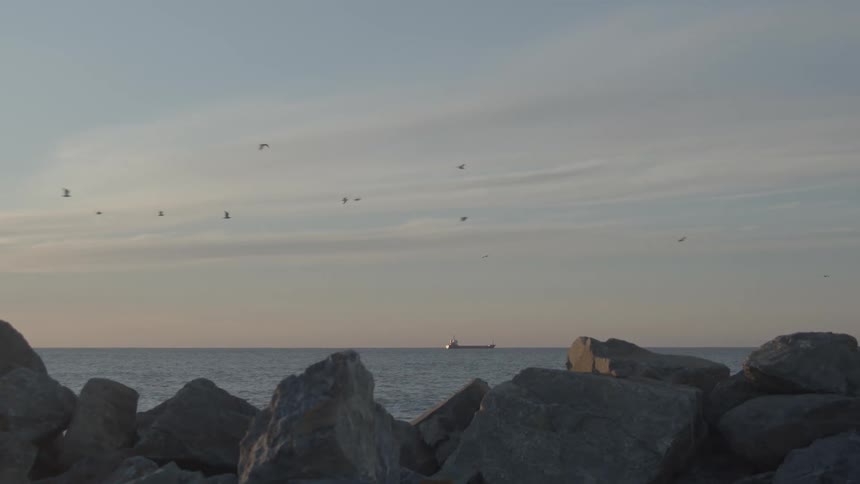 A serene seascape shows seagulls flying over a rocky shore with a distant cargo ship on the horizon at dusk