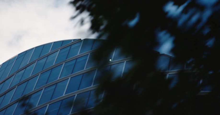 Panning up a modern curved glass building facade, the view transitions through silhouetted tree branches to the open sky