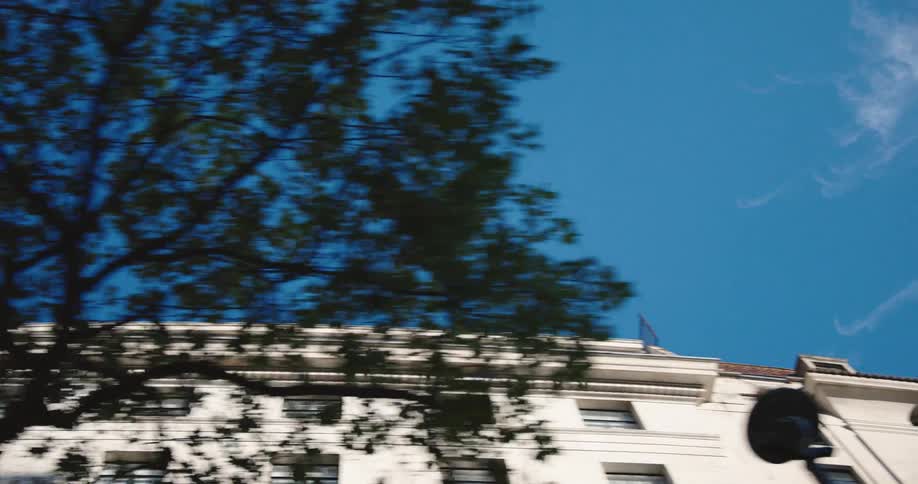 Looking up at the clear blue sky and a classic white building while driving past tree silhouettes on a sunny day