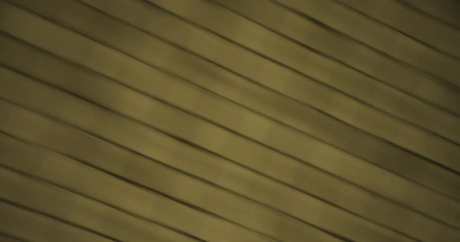 Earthy green abstract background with soft, out-of-focus diagonal lines and subtle rippling light