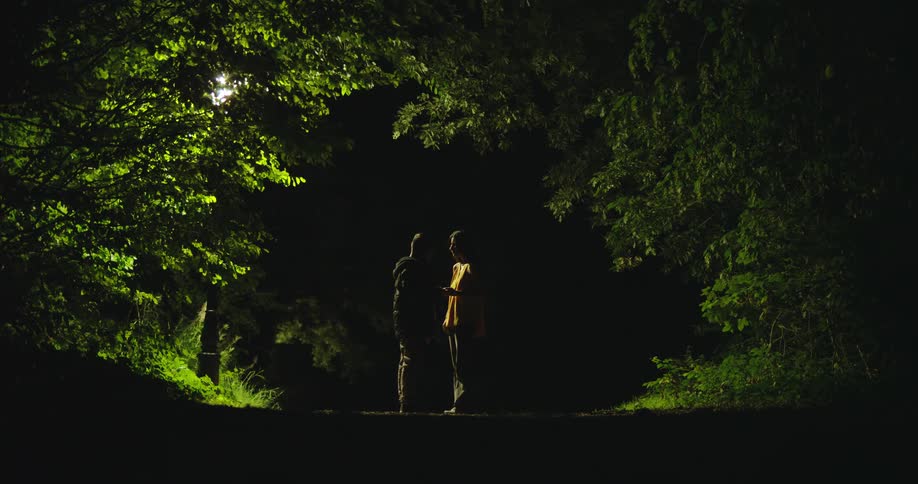 A rack focus shot reveals the silhouettes of two men having an intense conversation on a dark, wooded path at night