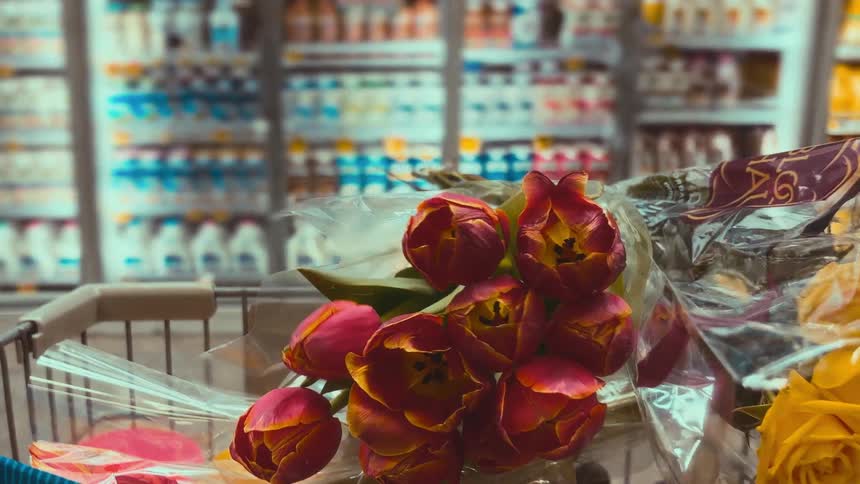 A close-up view of fresh red tulips in a shopping cart being pushed through the refrigerated aisle of a grocery store