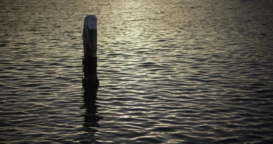 A single wooden post stands in calm rippling water with the golden glow of the sunset reflecting on the surface