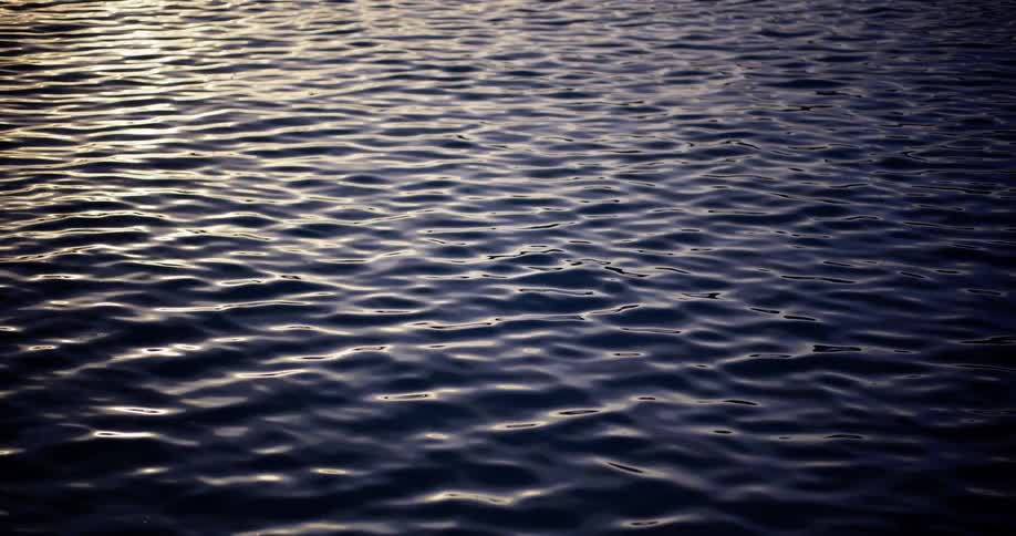 A tranquil close-up of dark, rippling water reflecting a soft, warm light