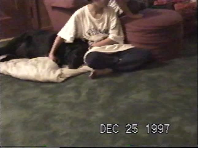 Two young boys and their dog wait patiently by the Christmas tree and presents on Christmas morning in 1997