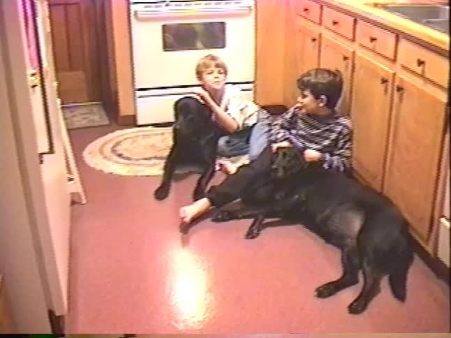 Candid vintage footage shows two young brothers sitting on the kitchen floor, lovingly petting their two black dogs