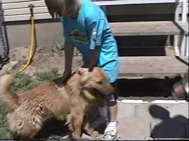 A young boy happily pets his fluffy golden dog in the backyard on a sunny day in this vintage home video