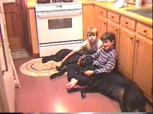 A heartwarming vintage home video shows two young brothers cuddling with their two black dogs on the kitchen floor