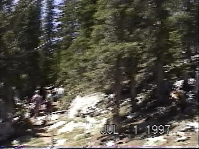 Vintage 1997 VHS footage of a group of friends hiking up a rugged mountain trail through a sun-drenched pine forest