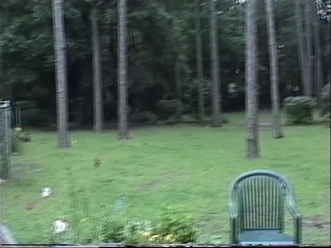 Home movie footage of a young boy running out to a wooded backyard to blow bubbles