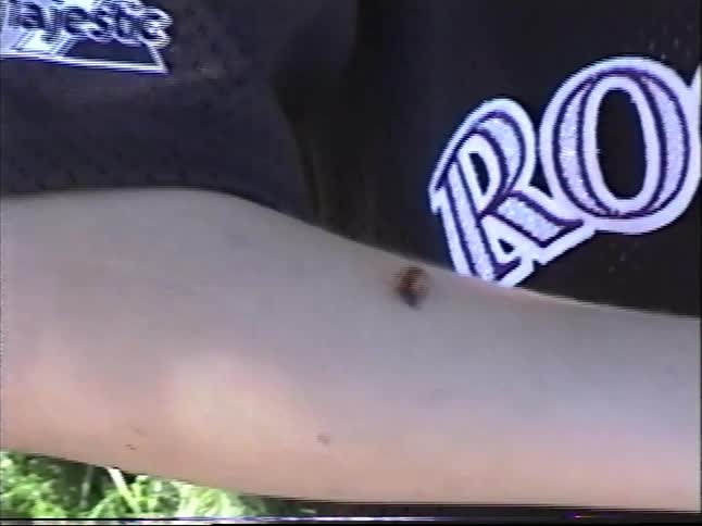 A vintage home video shows a curious boy in a baseball jersey letting a ladybug crawl all over him in a sunny backyard