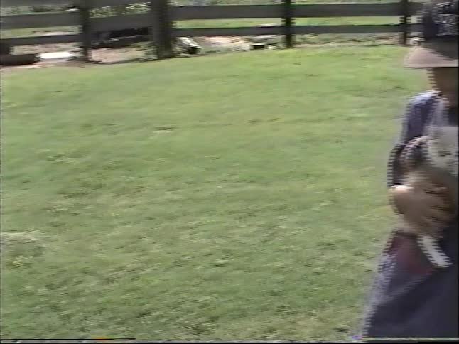 Vintage home video footage shows a young boy in a baseball cap smiling while holding a cute, fluffy kitten on a farm