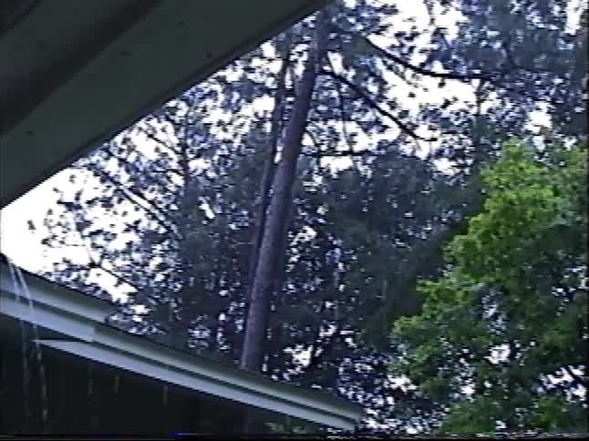 Young boy watches a rainstorm from a covered porch as trees sway in the suburban yard