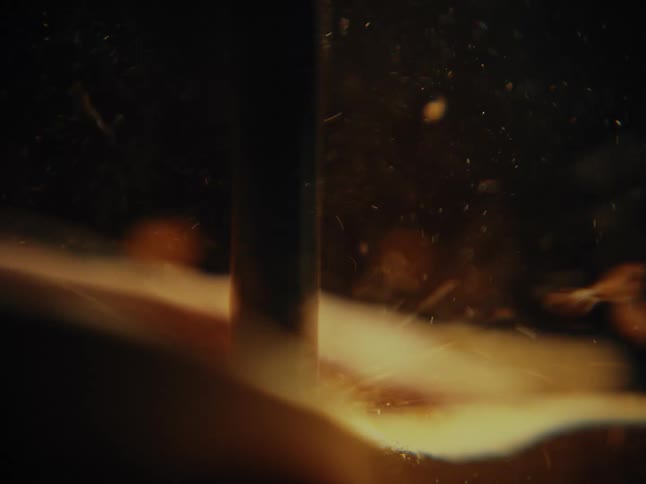 Close-up slow motion detail of a drill bit cutting into wood, creating a cloud of sawdust