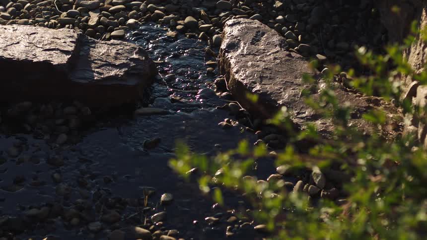 A serene close-up reveals a sun-dappled stream flowing gently over rocks in a peaceful garden, with a slow focus pull from a green bush in the foreground