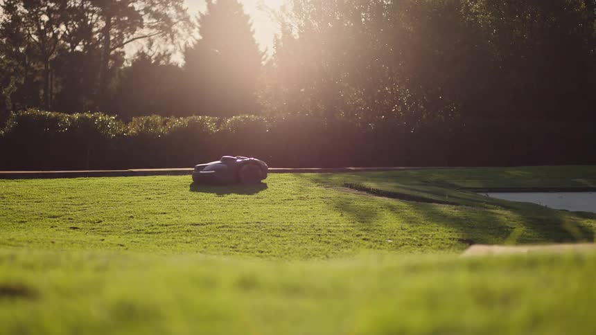 An autonomous robotic lawnmower cuts a lush green lawn during a sunny golden hour, with the focus shifting to the grass in the foreground