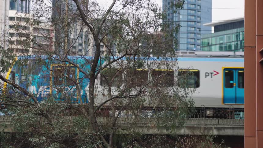 A city commuter train moves across a bridge, viewed through trees with a skyline of skyscrapers behind it