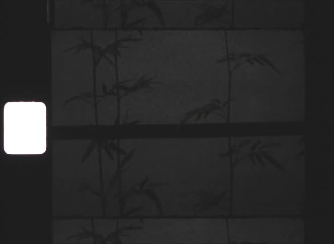 Vintage black and white 8mm film scan shows a still image of bamboo stalks that fades to black