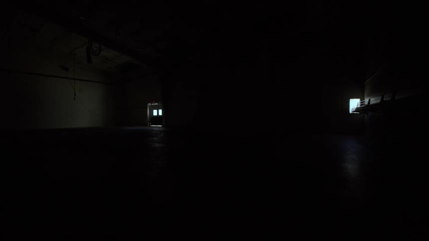 A static shot shows an empty industrial cold storage room as the lights are suddenly shut off