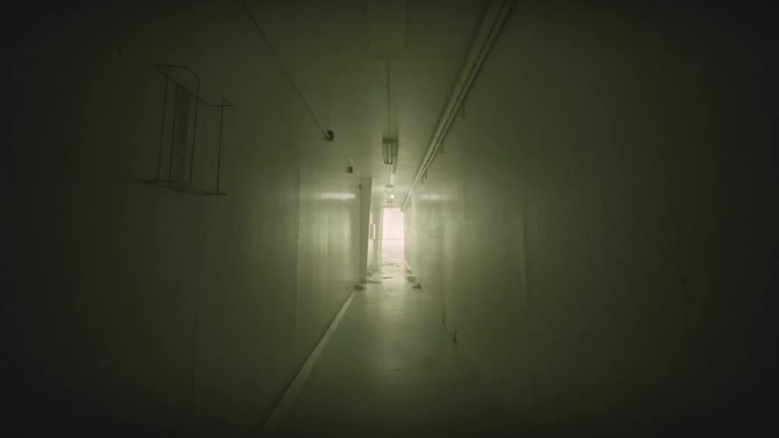 An eerie, dark hallway with flickering lights creates a suspenseful and unsettling atmosphere