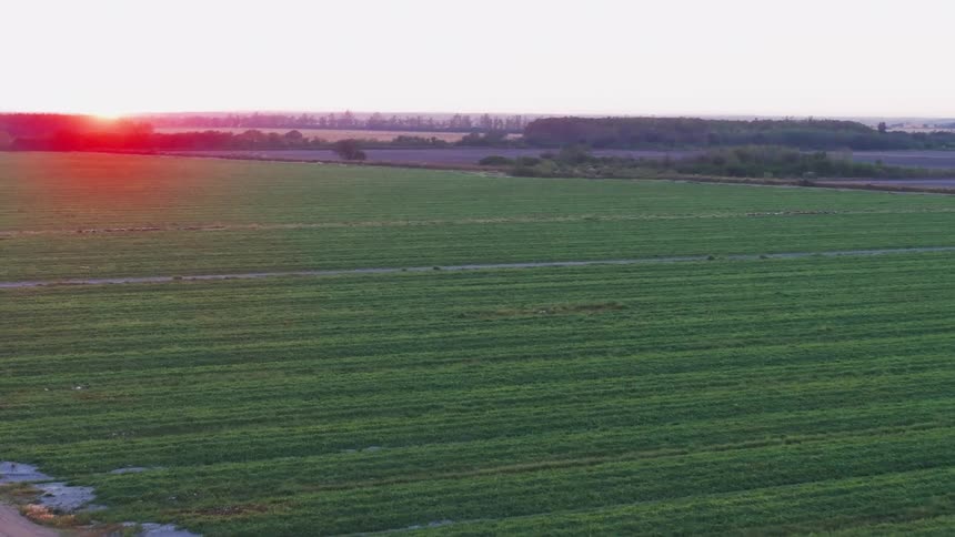 An aerial drone flies over lush green farm fields with a white bus parked on a rural dirt road at sunset