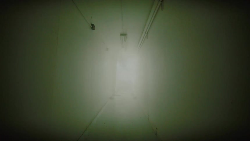 An eerie and foggy hallway with flickering lights creates a suspenseful horror atmosphere