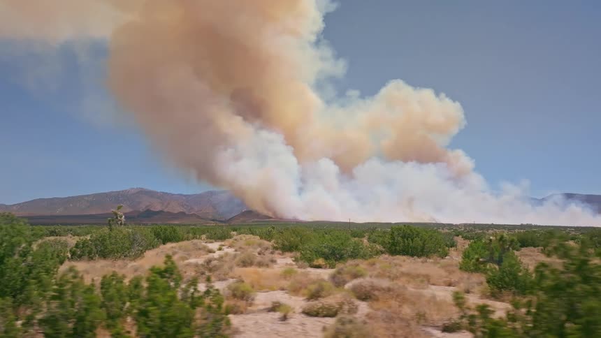 A slow tracking shot passes Joshua trees in the desert as a massive wildfire billows smoke into the sky in the distance