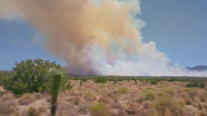 Tracking shot of a massive wildfire sending a thick plume of smoke across a desert landscape filled with Joshua trees and mountains