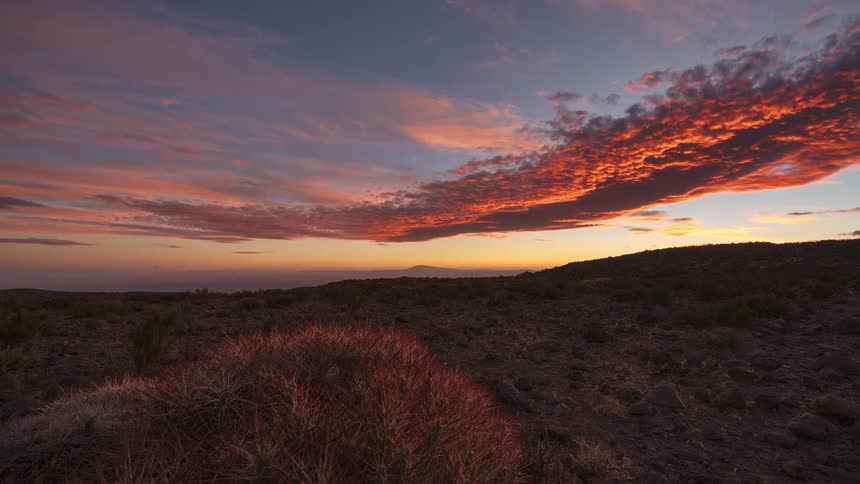 A stunning day-to-night timelapse shows the sun setting over a desert landscape, illuminating the clouds in vibrant reds and oranges above a barrel cactus