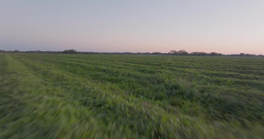 An aerial drone glides low over a lush green farm field before ascending to reveal the vast rural landscape at sunset