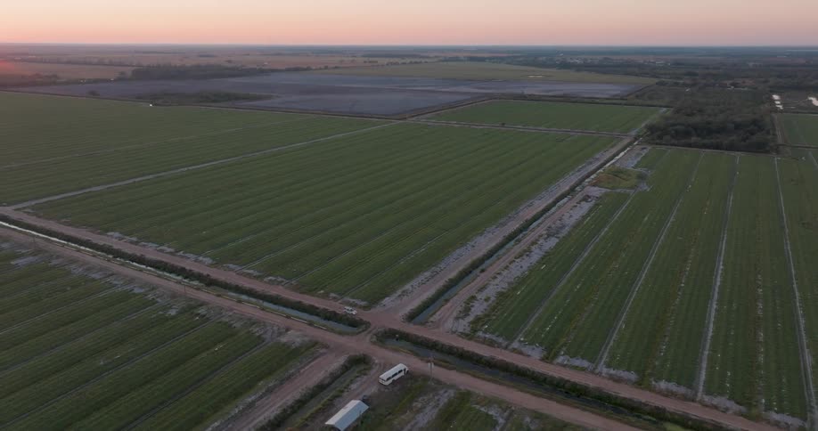 Aerial footage slowly pulls back to reveal the immense scale of lush green agricultural fields during a serene sunset