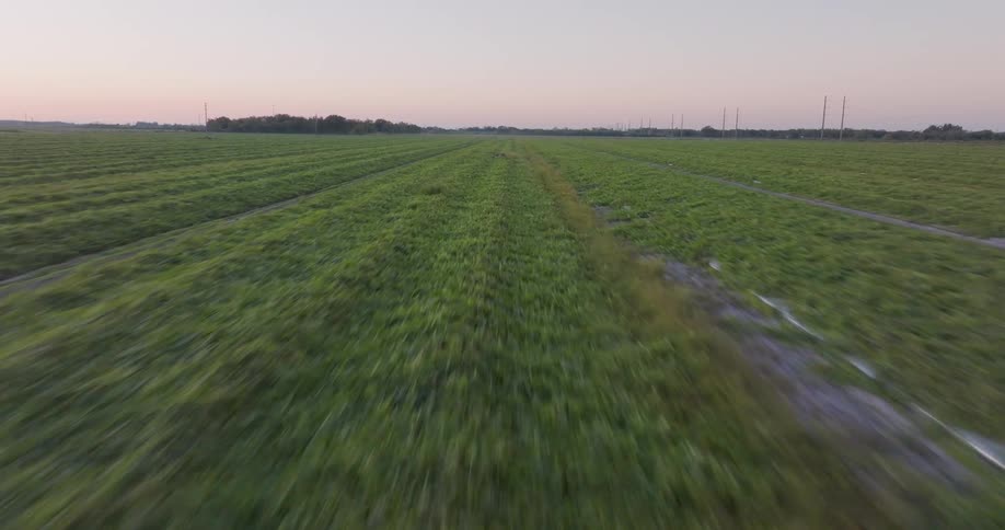 A fast-paced aerial drone shot flies down tire tracks in a vast green field at sunset
