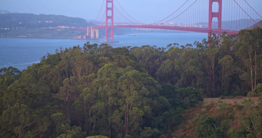 An upward panning shot reveals the iconic Golden Gate Bridge behind the lush Marin Headlands