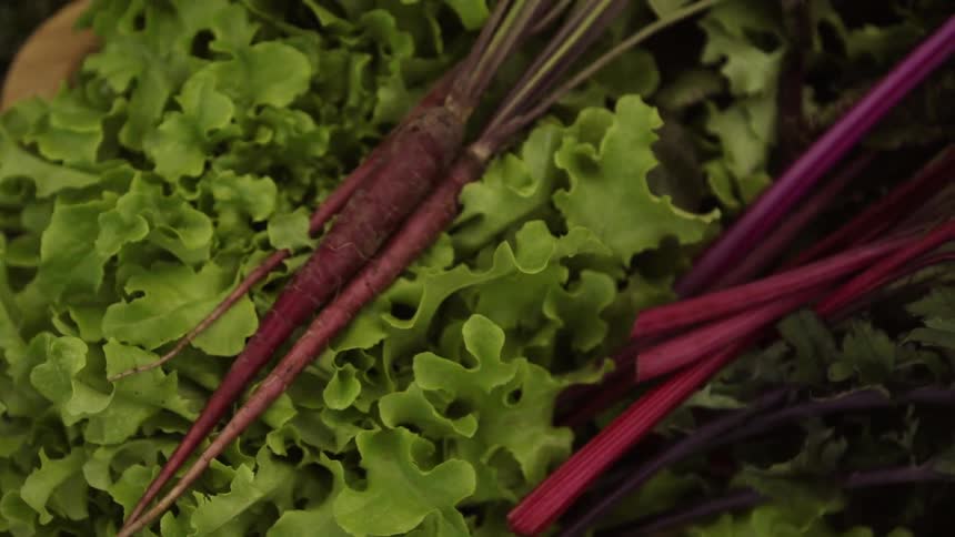 Close up of vegetable plants