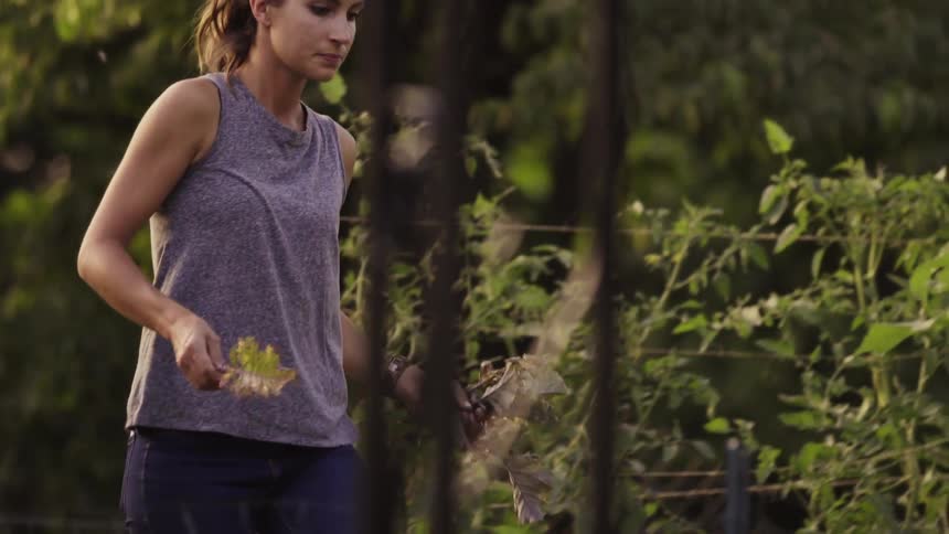 Woman carrying some foliage while walking in a garden area