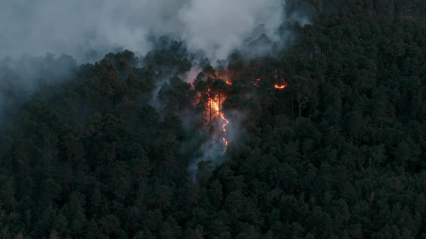 A wildfire rages through a dense, dark forest on a mountainside as thick smoke billows into the sky