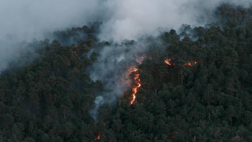 A wide shot shows a forest fire burning a line through a mountainside as thick smoke billows into the air