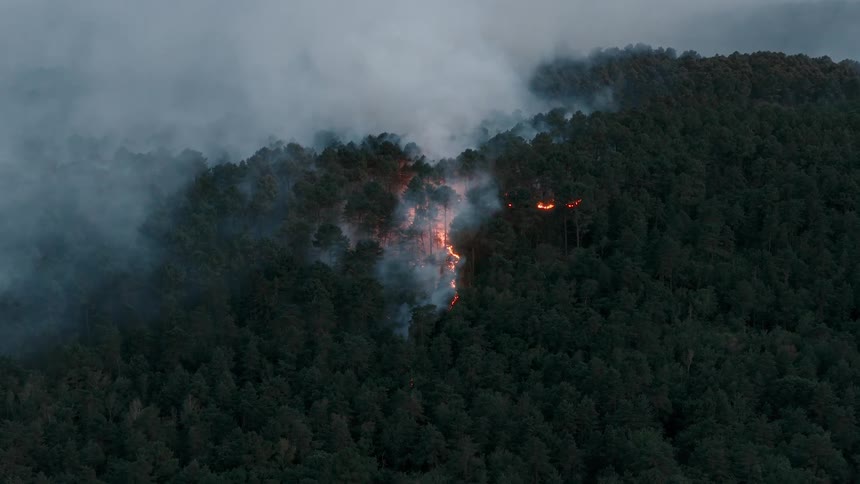 A forest fire rages on a dense, tree-covered mountainside as thick smoke billows into the twilight sky