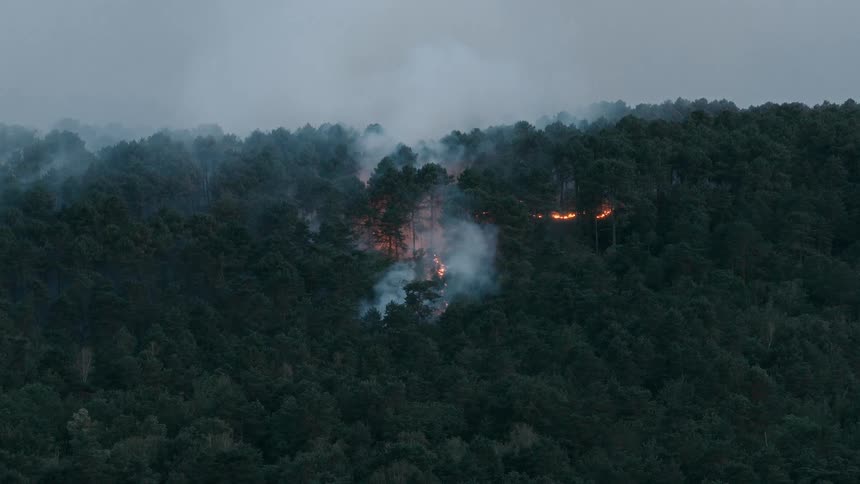 A wildfire burns through a dense forest on a hillside at dusk, sending smoke billowing into the gray sky