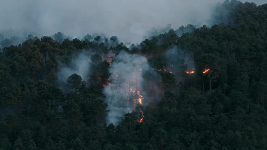 Thick smoke billows from a destructive wildfire as it slowly consumes a dense, dark forest on a remote mountainside