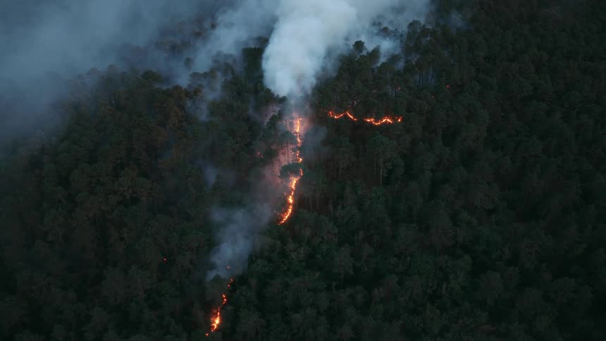 An aerial view shows a dangerous wildfire burning through a dense forest at night, with a line of orange flames and thick smoke rising from the trees