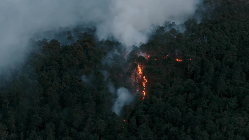 A terrifying forest fire burns a path of destruction down a pine-covered mountainside as smoke fills the air