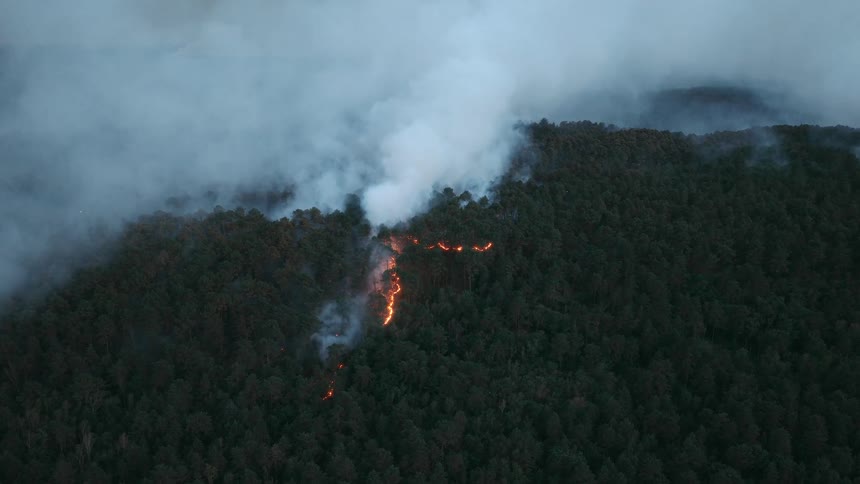 An aerial view captures a wildfire burning through a dense forest
