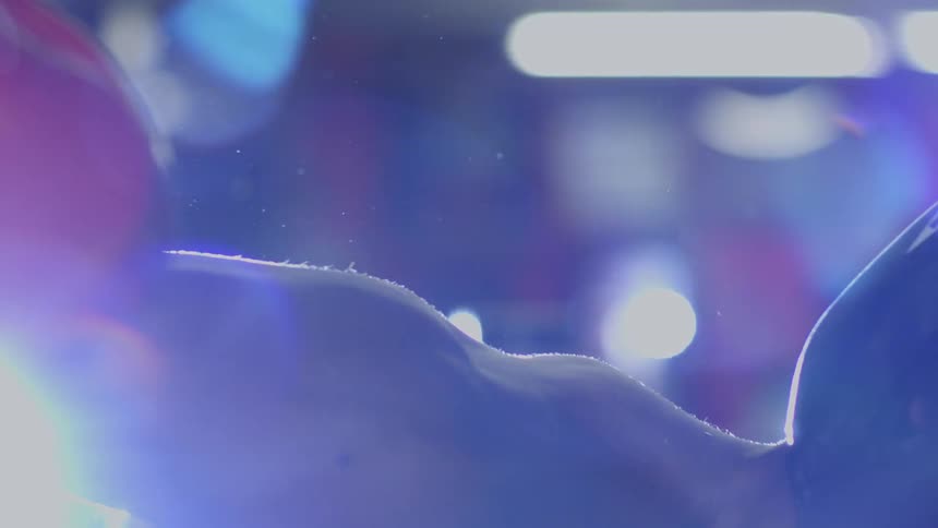 Dramatic close-up of a boxer's muscular arm flexing while punching a heavy bag in a backlit gym