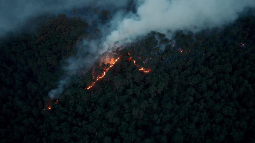 An aerial view shows a devastating forest fire burning through dense woods at night, with a line of flames and thick smoke rising