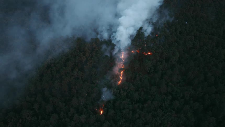 Aerial top-down view of a wildfire burning a path through a dense forest as thick smoke billows from the flames