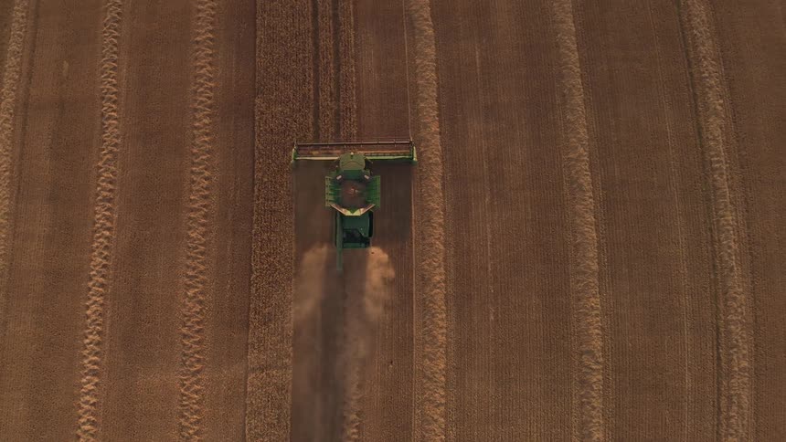 An aerial top-down view of a green combine harvester steadily reaping a vast golden wheat field